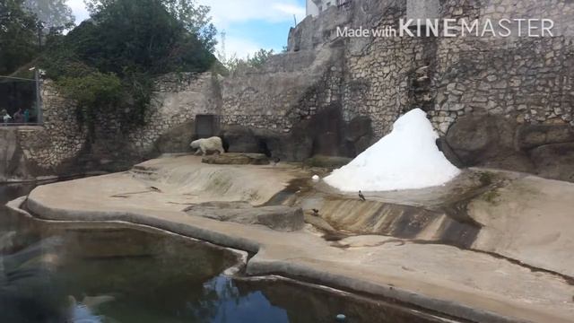 VLOG🦒/🐘🦓Московский зоопарк🦍🦒/🌈Veronika Verner🦄/ смотреть онлайн