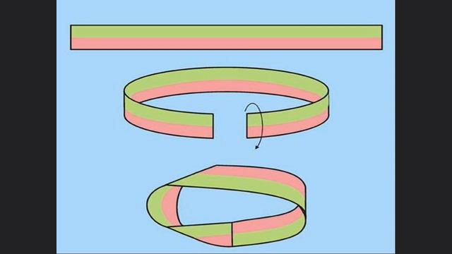 Попова Л.Н. смотреть онлайн