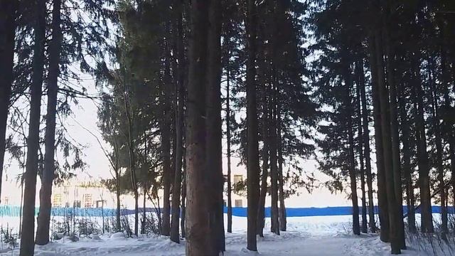 Вы много всего рассказывали.  У вас были красивые платья.  Девчонки ждали, в каком платье вы придет