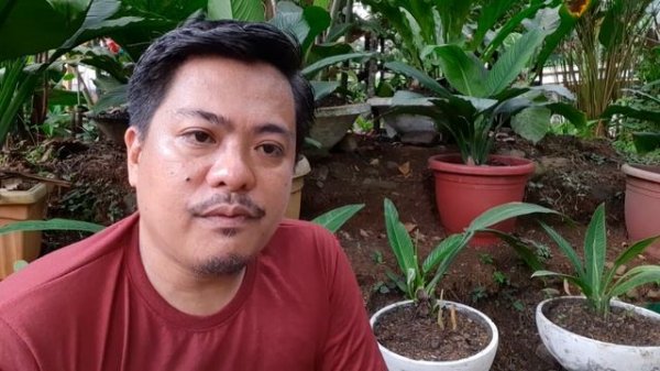 FACTS ABOUT SPATHIPHYLLUM SENSATION | Spathiphyllum Sensation Basic Care and Propagation.