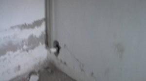 Установка сололифта в цокольном помещении