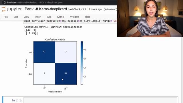 Predict with a Fine-Tuned Neural Network with TensorFlow's Keras API смотреть онлайн