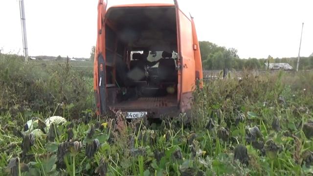 Уборка тыквы ,первый рейс на Мерседесе 208 Д. смотреть онлайн