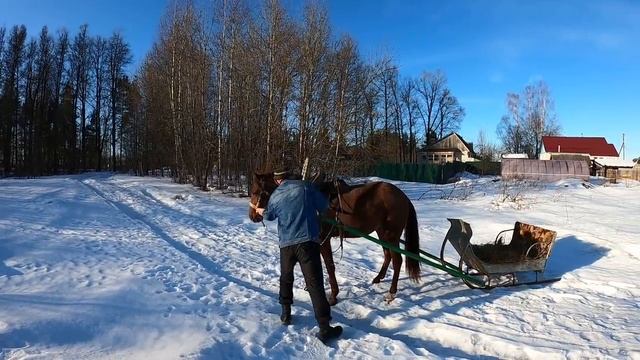 ГОНКА НА САНКАХ РУКИ В КРОВЬ! смотреть онлайн