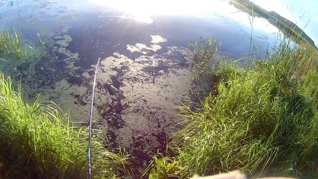 Рыбалка 3.14 "Красный Яр" Классика жанра смотреть онлайн