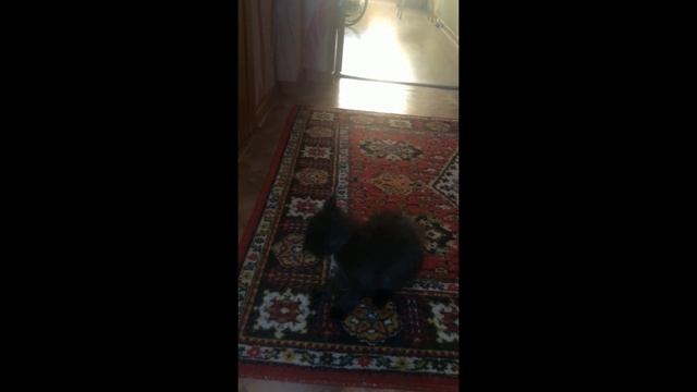 Рубас.mp4 смотреть онлайн