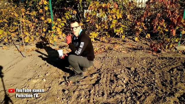 КАК РАСКИСЛИТЬ ПОЧВУ И УДОБРИТЬ ОДНОВРЕМЕННО смотреть онлайн