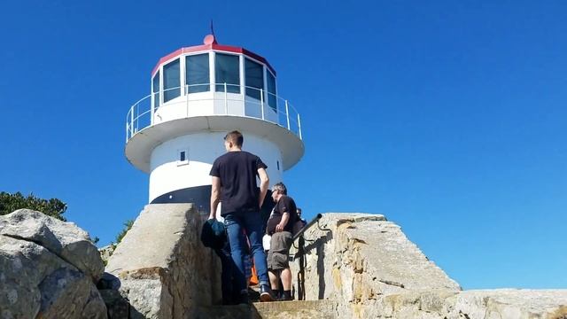 Exploring Cape Point, Cape of Good Hope, and Boulder Beach смотреть онлайн