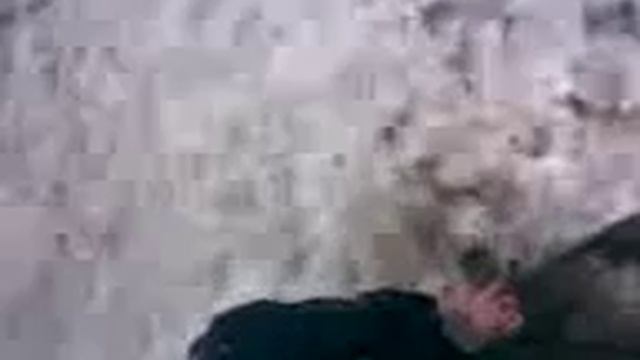 Вот, какие школьники!