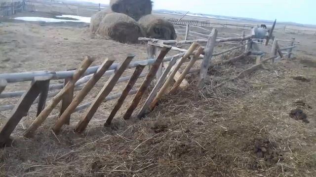 Кормушки крс . Зимние эксперименты смотреть онлайн