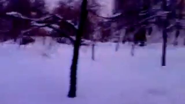 1января2010г Государев дворец.3gp смотреть онлайн
