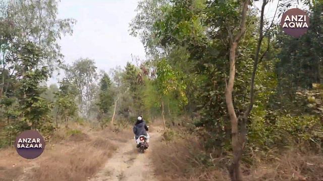 Jungle Safari | Ride in Forest | Bengal ka Jungle | Part 1 | Baraban Village, Birbhum, West Bengal смотреть онлайн
