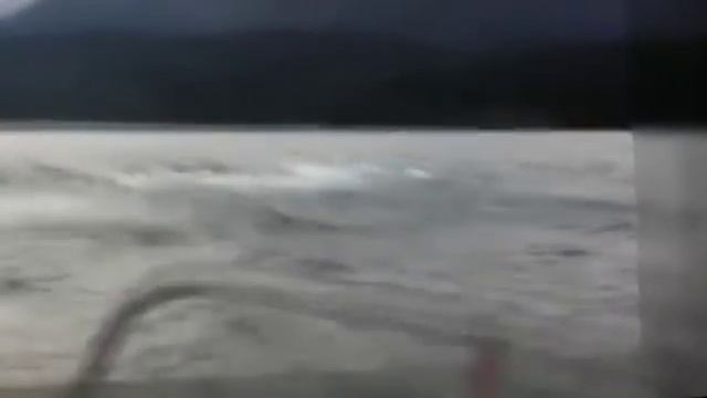 Выдра попросила людей о помощи. Выдра спасаясь от касаток запрыгнула в лодку к людям / Трогательно смотреть онлайн