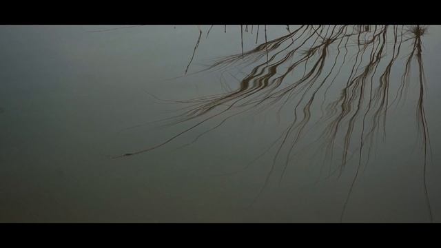 Belaseshe | Teaser | Suddhasatta Originals | Bengali Song | Origami Production | Film by Charcoal смотреть онлайн