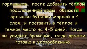 #ПИВНЫЕ ДРОЖЖИ - ч.3 | КАК ПРИГОТОВИТЬ В ДОМАШНИХ УСЛОВИЯХ ПИВНЫЕ ДРОЖЖИ?
