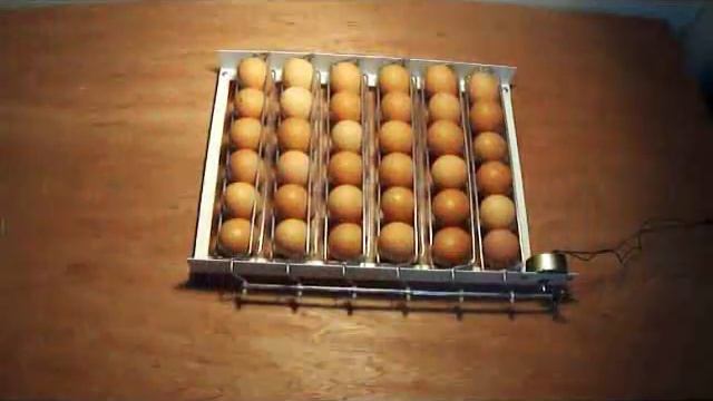 egg turner смотреть онлайн