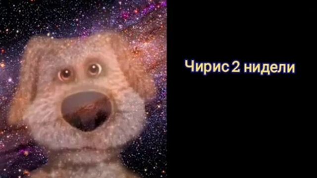 @KsuFun_Christmas удолит коналл чирис: смотреть онлайн