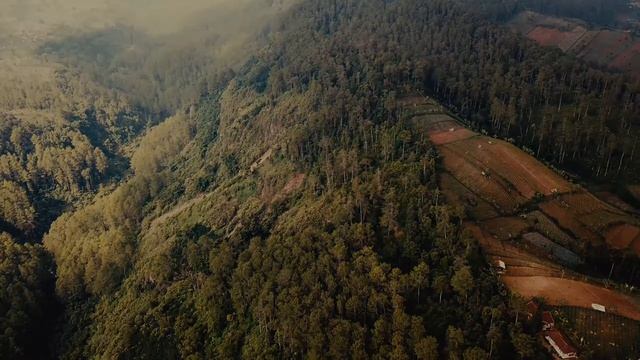 Музыка для души, расслабления, сна и медитации смотреть онлайн