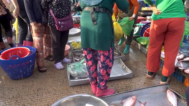 How Fish, Seafood, Vegetables, & More Are Distributed @ Chhbar Ampov Market смотреть онлайн