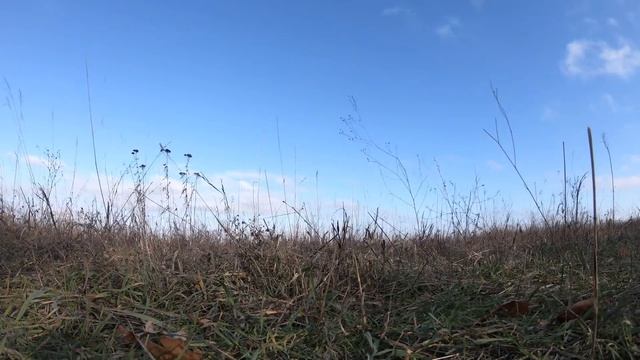 Полёты на выживание, FPV самолет Cessna 162 против квада! смотреть онлайн