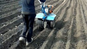 Сажаем картофель мотоблоком НЕВА МБ-2