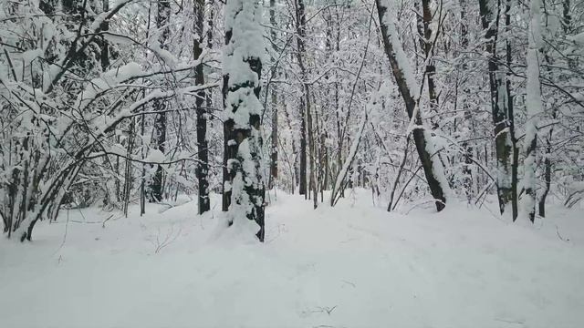 Зимняя сказка, парк Рассказовка смотреть онлайн