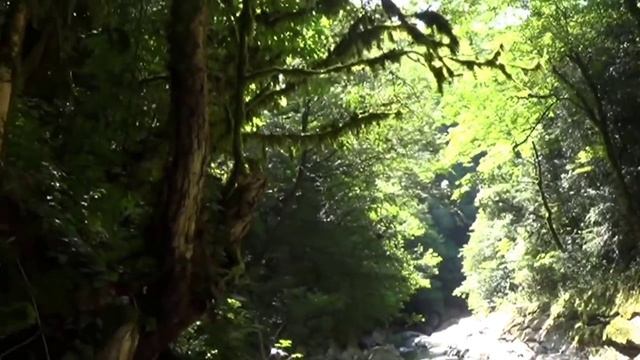 15_06_2014_ДАГОМЫСКИЕ КОРЫТА.mp4 смотреть онлайн