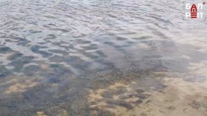 Балаковский пляж в 1 микрорайоне: нужен другой подход к очистке дна