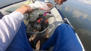 Лучшие силиконовые приманки для ловли судака.  Трофейный судак клюет летом в жару.