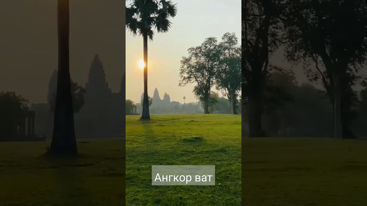 Ангкор Ват на рассвете. #камбоджа смотреть онлайн