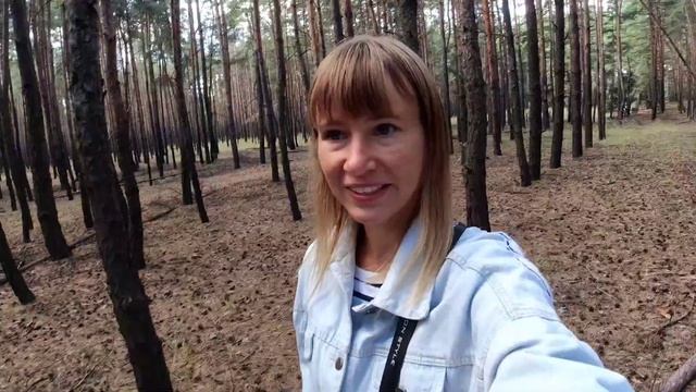 Сразу сушеные грибы смотреть онлайн