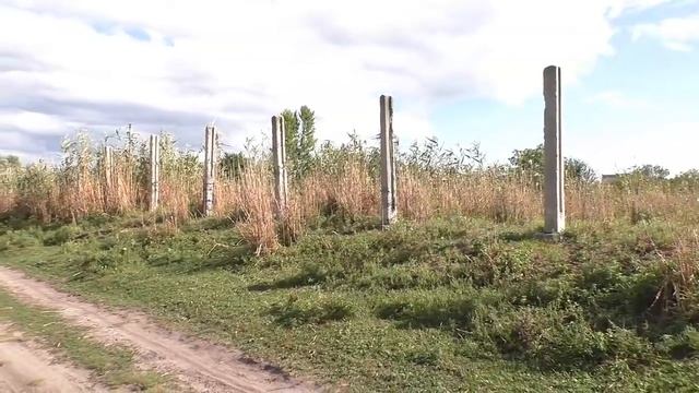 Коп. Сбор металла на покупку курицы продолжается смотреть онлайн