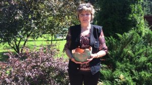 ОБЗОР ДАЧНОГО УЧАСТКА. ВИДЕО ИЗ АРХИВА 2018г. ПОДМОСКОВЬЕ. ДАЧНЫЙ КРЕАТИВ.