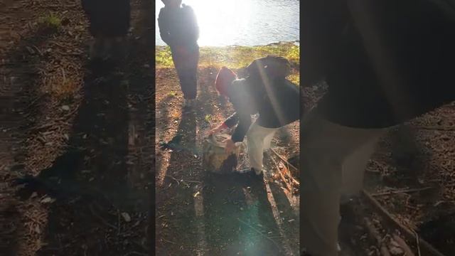 Семинар "Русская душа" в Богородицке. Йога Лекси Татьяны Бабковой смотреть онлайн