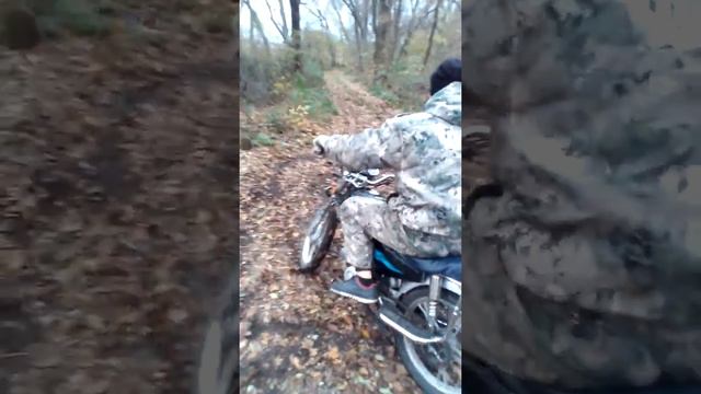 Решили погонять по лесу. смотреть онлайн