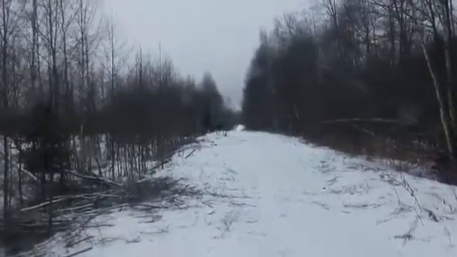 Переход Лосей смотреть онлайн