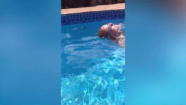 8 reasons to learn to swim on vacation in Hawaii смотреть онлайн