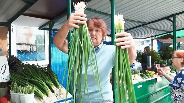 (19.08.2024) Неудачным сложился этот летний сезон для садоводов Комсомольска