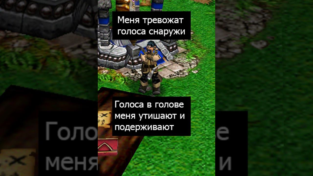 Голоса в голове #варкрафт #warcraft #варкрафт3 #warcraft3 #shorts #worldofwarcraft #wow #мем смотреть онлайн