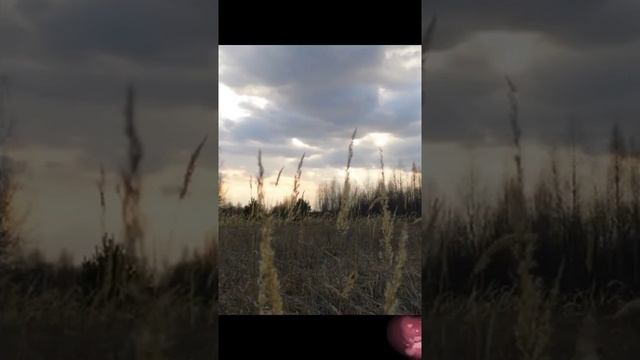 "Милую жду у березы",поет песню Александр Бардин, группа САДко смотреть онлайн