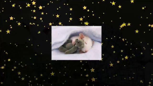 А.Монин. Из неизданного альбома. "Колыбельная"(Здравствуйте дети). 2006г. смотреть онлайн