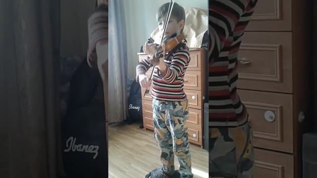 Зейц