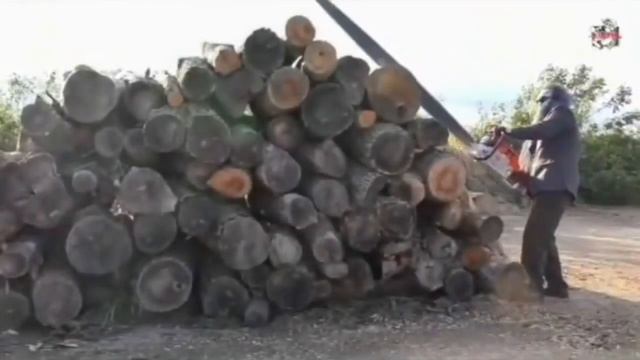 ух ты!! пух ты!!.mp4