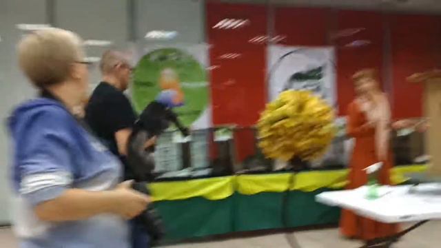 10 мес.Orpheus Rysenok фан-шоу ПДШ 14/10/18 Тверь"Альфа-Кот" смотреть онлайн