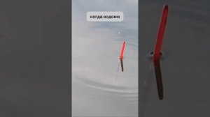 Когда ловить линя ранней весной?