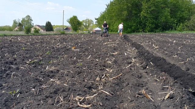 Посев тыквы. смотреть онлайн