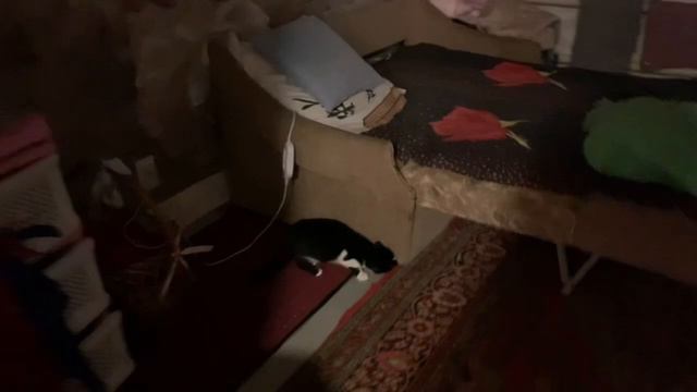 #Диффузор/АРОМАТИЗАТОР ДЛЯ ДОМА меня УДИВИЛ /Мамина работа)КОМНАТА ГОТОВА к Новому Году❗❤ смотреть онлайн