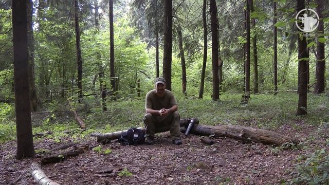 Дикий зверь в походе | Как понять зверя | Правила поведения в лесу смотреть онлайн