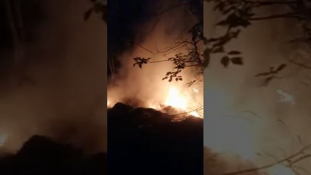 поджог на бывшей пилораме, Краснозерский район. смотреть онлайн