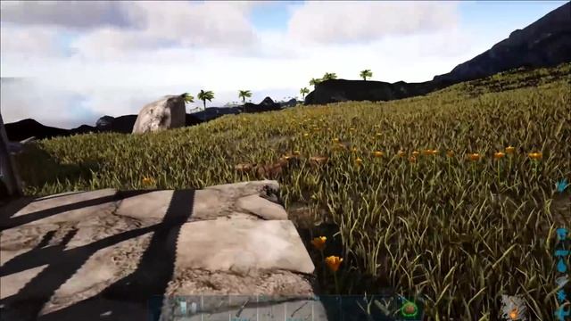 Скарабей (Dung Beetle) в АРК. Лучший обзор: приручение и способности жуков в ark смотреть онлайн